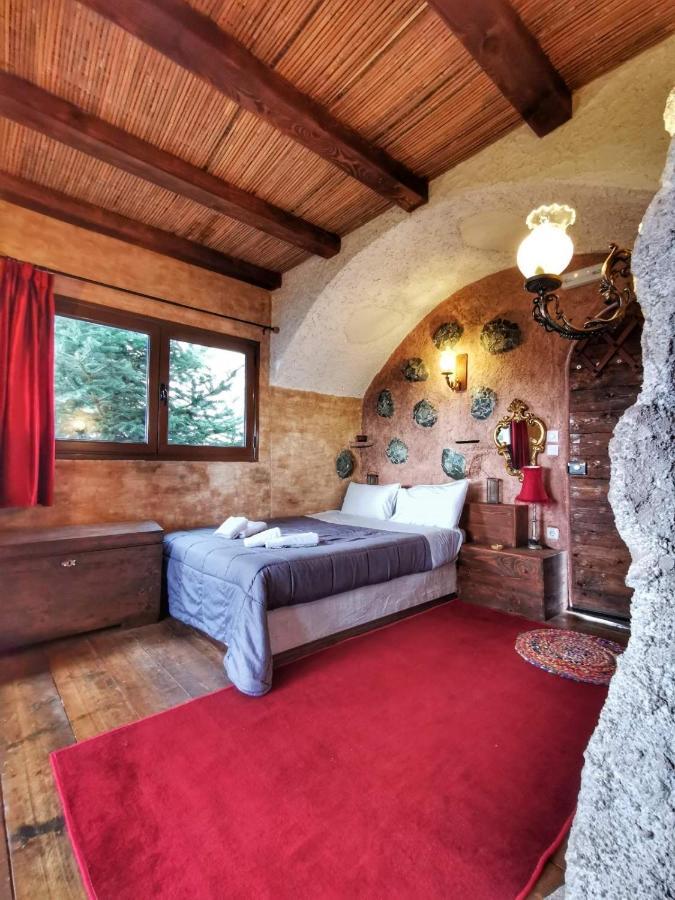 Hotel Anemoessa Synikia Mesi Trikalon Zewnętrze zdjęcie